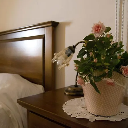 100 Craste أُجينتو