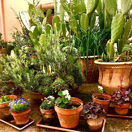 100 Craste Bed & Breakfast