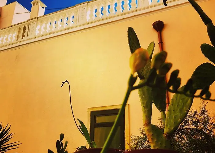 100 Craste 乌真托